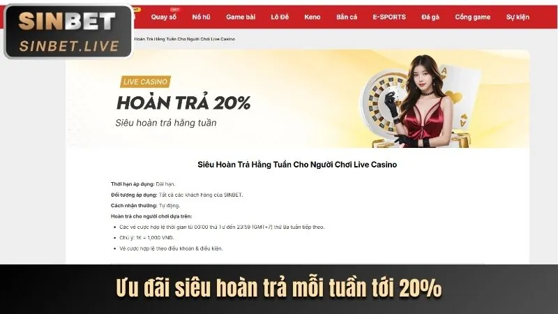 Áp dụng chiến thuật Baccarat thông minh